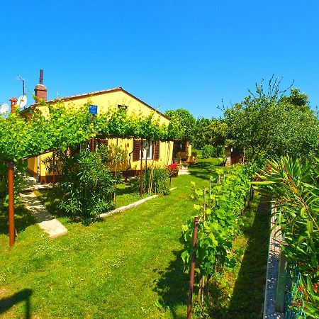 House 1037 Villa Fazana Exterior photo